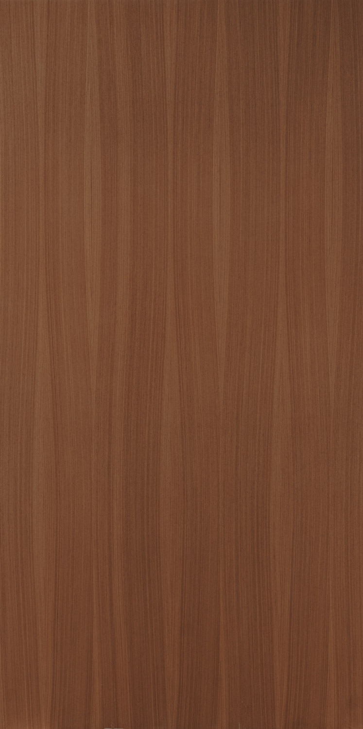 Quartered Golden Teak